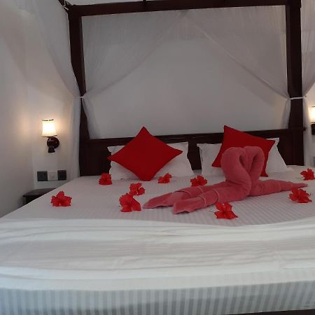 Turtle Reef Guest Bed & Breakfast Мириса Екстериор снимка