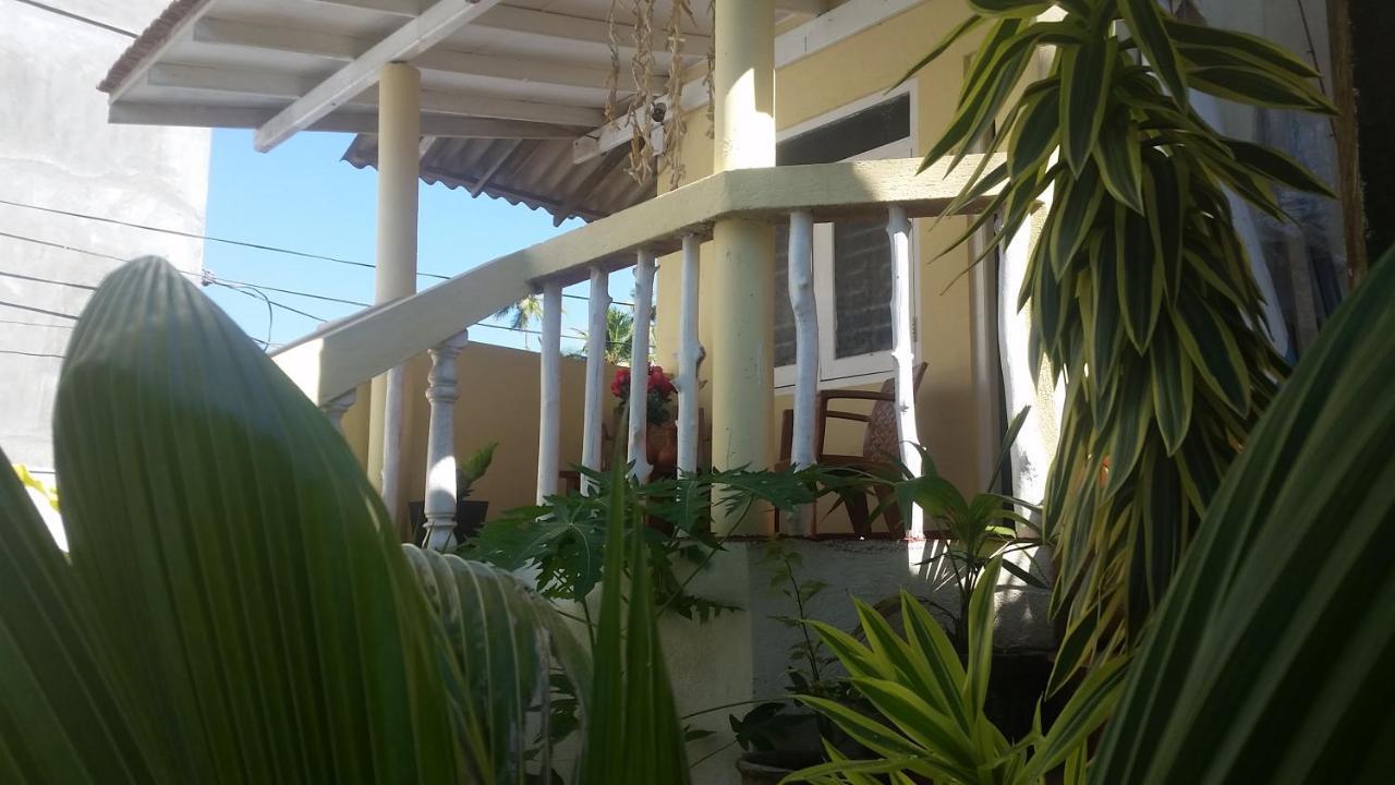 Turtle Reef Guest Bed & Breakfast Мириса Екстериор снимка