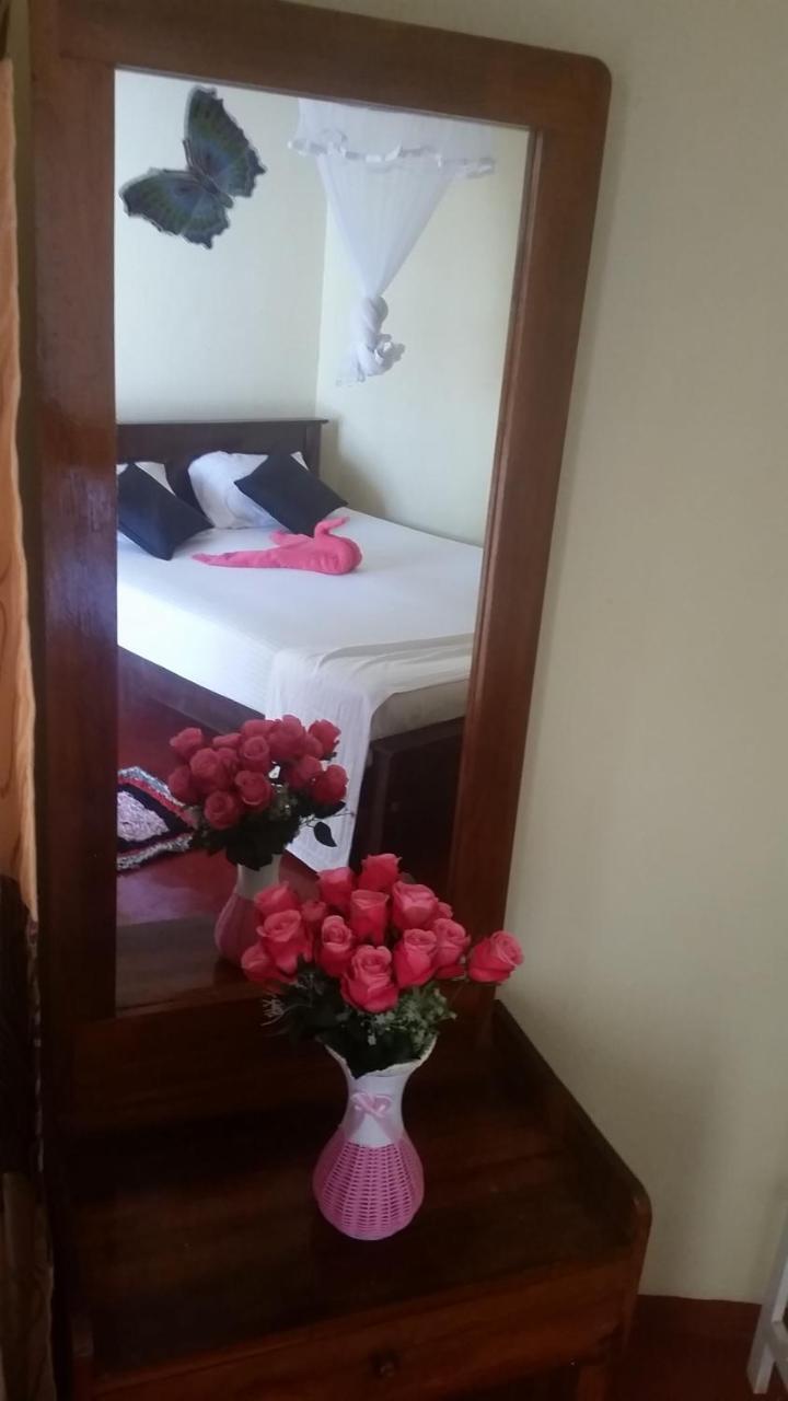Turtle Reef Guest Bed & Breakfast Мириса Екстериор снимка