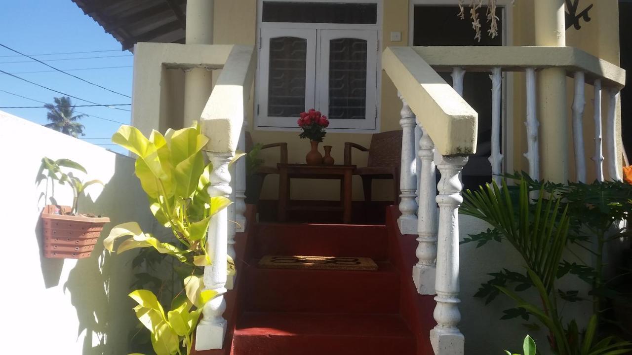 Turtle Reef Guest Bed & Breakfast Мириса Екстериор снимка